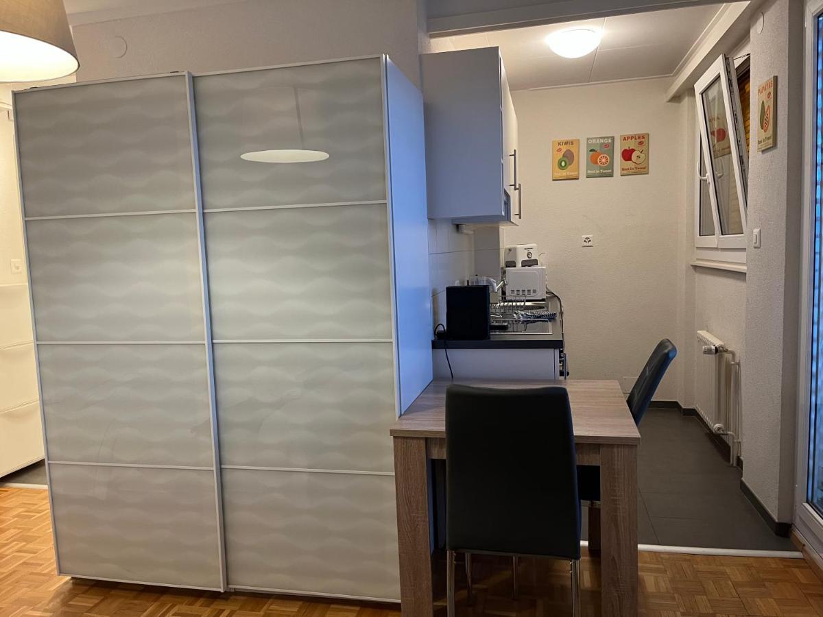 Beautiful Studio 2 Minutes From The Train Station Apartment Lausanne Luaran gambar